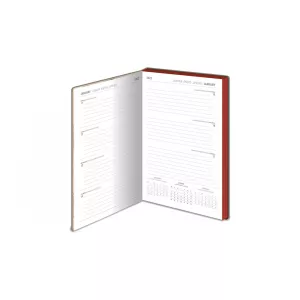 Harry Potter (Abstract Magic) 2022 Diary