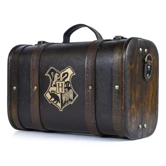 Merchandise razno - Harry Potter (Trouble FInds Me) Premium Gift Set
