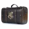 Harry Potter (Trouble FInds Me) Premium Gift Set