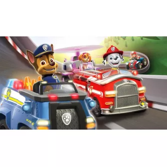Nintendo Switch igre - Switch Paw Patrol Grand Prix