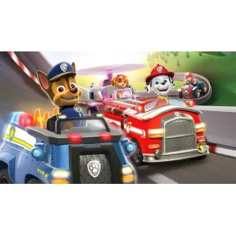 Nintendo Switch igre - Switch Paw Patrol Grand Prix