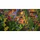 Switch Minecraft: Dungeons Ultimate Edition