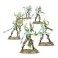 Sylvaneth Tree-Revenants