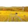 Switch Doraemon Story of Seasons: Friends of the Great Kingdom