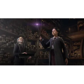 Playstation 5 igre - PS5 Hogwarts Legacy