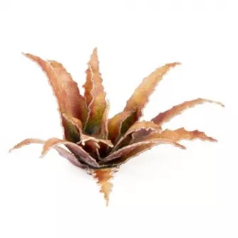 Warhammer pribor i oprema - Laser Plants - Red Aloe