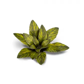 Warhammer pribor i oprema - Laser Plants - Lords-and-Ladies