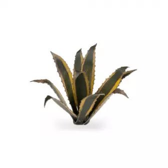 Warhammer pribor i oprema - Laser Plants - Agave