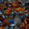 Laser Plants - Alien Flytrap