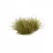 Dry Green 6mm - Wild