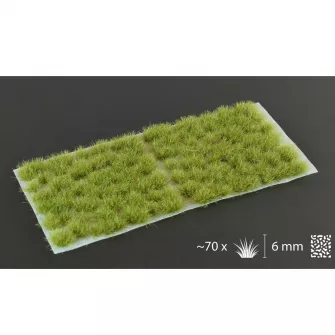 Warhammer pribor i oprema - Dry Green 6mm - Wild