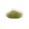 Light Green 6mm - Wild