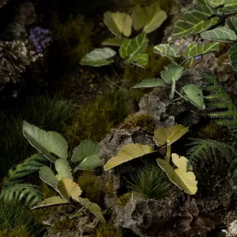 Warhammer pribor i oprema - Laser Plants - Elephant Ear