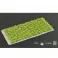 Green Shrubs - Wild