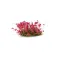 Pink Flowers - Wild