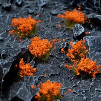 Warhammer pribor i oprema - Orange Flowers - Wild