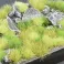 Green Meadow Set - Wild