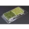 Green Meadow Set - Wild