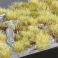 Marshland Set - Wild