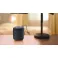 Tune V2 Bluetooth Speaker Black
