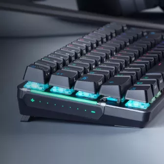 Gejmerske tastature - ROG Falchion Wireless RGB Mechanical Gaming Keyboard