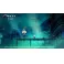 Switch Hollow Knight