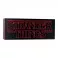 Stranger Things Logo Light