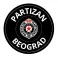 Floor Mat Partizan