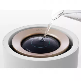 Prečišćivači i osveživači vazduha - Humidifier Rainforest