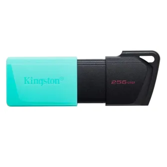 USB Flash memorije - USB Flash Drive DTXM 256GB