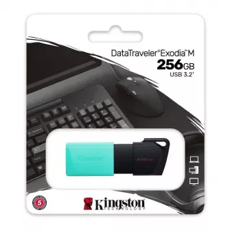 USB Flash memorije - USB Flash Drive DTXM 256GB