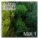 Scenery Moss - Green Mix