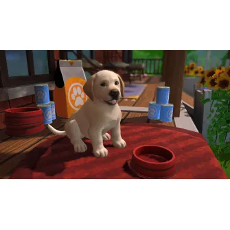 Nintendo Switch igre - Switch Little Friends: Puppy Island