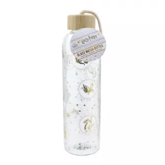 Šolje i čaše - Harry Potter Glass Water Bottle