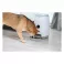 Nutri Vision - Smart Pet Feeder with camera