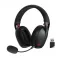 Ire Pro H848 Wireless Headset Black