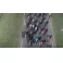 XBOXONE/XSX Tour de France 2023