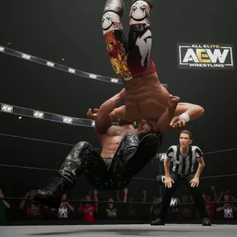 Switch AEW: Fight Forever