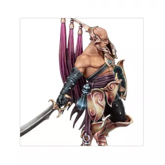 Warhammer figurice - Hedonites of Slaanesh: Lord of Hubris