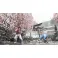 PS4 Street Fighter VI