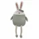 2 in 1 Pillow Green Rabbit