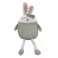 2 in 1 Pillow Green Rabbit