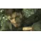 XSX Metal Gear Solid: Master Collection Vol. 1