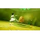 Switch Avatar The Last Airbender: Quest for Balance