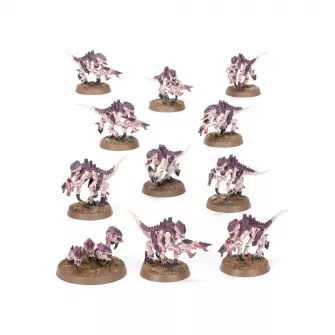 Warhammer figurice - Warhammer 40000: Introductory Set