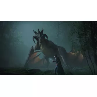 Xbox Series X/S igre - XSX Hogwarts Legacy