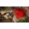 XBOXONE/XSX Assassin's Creed Mirage Deluxe Edition