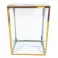 Clear Gold Version 4'' Pop Protector With Film On It With Soft Crease Line And Automatic Bot Lock
