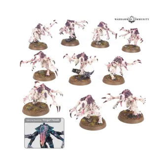 Warhammer figurice - Tyranids: Genestealers