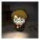 Harry Potter Box Light